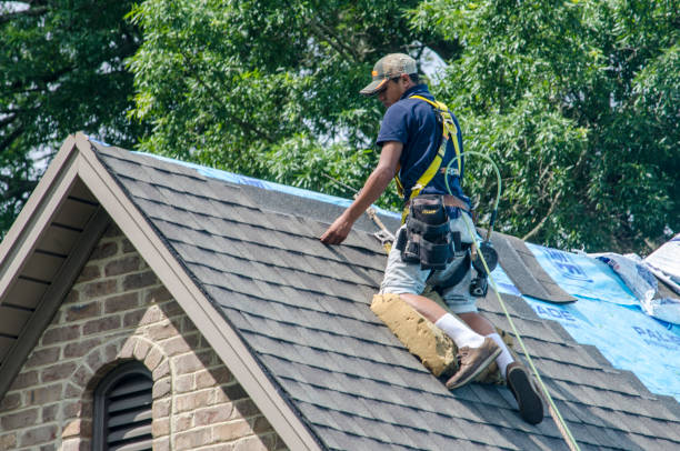 Roof Gutter Cleaning in Wynne, AR